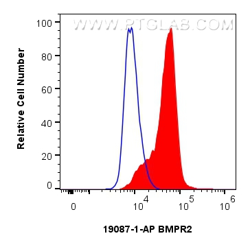 FC experiment of PC-3 using 19087-1-AP