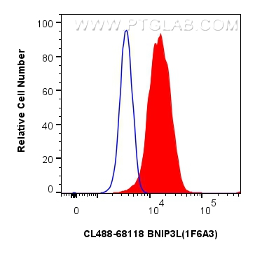 FC experiment of HeLa using CL488-68118