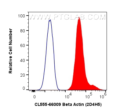 FC experiment of HeLa using CL555-66009