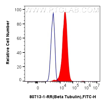 FC experiment of HEK-293 using 80713-1-RR (same clone as 80713-1-PBS)