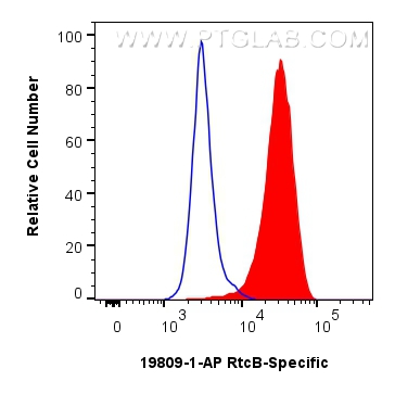 FC experiment of HeLa using 19809-1-AP