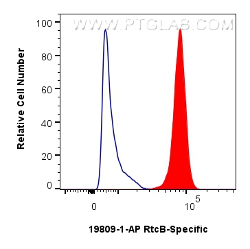 FC experiment of A431 using 19809-1-AP