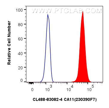 FC experiment of A431 using CL488-83082-4