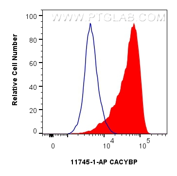 FC experiment of HeLa using 11745-1-AP (same clone as 11745-1-PBS)