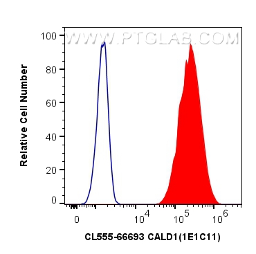 FC experiment of HeLa using CL555-66693