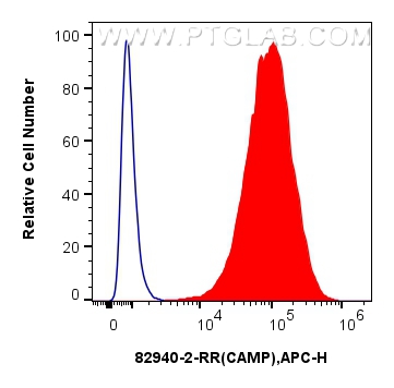 FC experiment of MCF-7 using 82940-2-RR