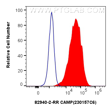 FC experiment of Hela using 82940-2-RR