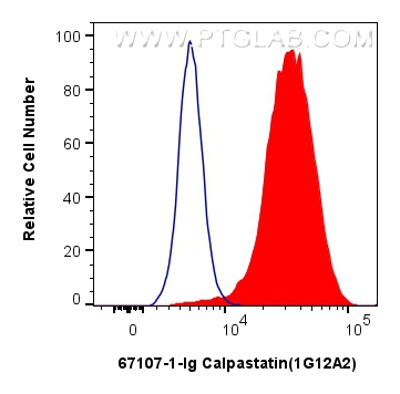 FC experiment of HeLa using 67107-1-Ig