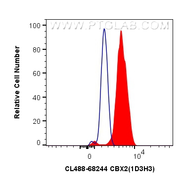 CBX2