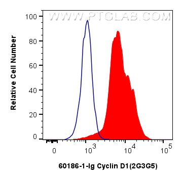 FC experiment of SH-SY5Y using 60186-1-Ig