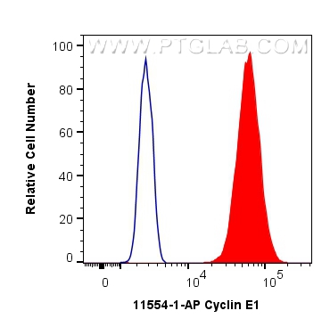 FC experiment of MCF-7 using 11554-1-AP