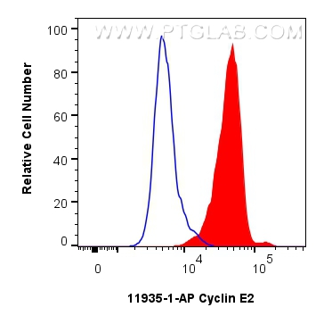 FC experiment of HeLa using 11935-1-AP