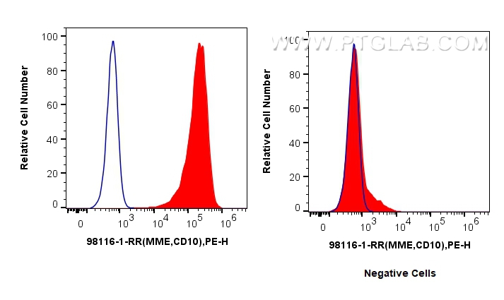 FC experiment of Reh using 98116-1-RR