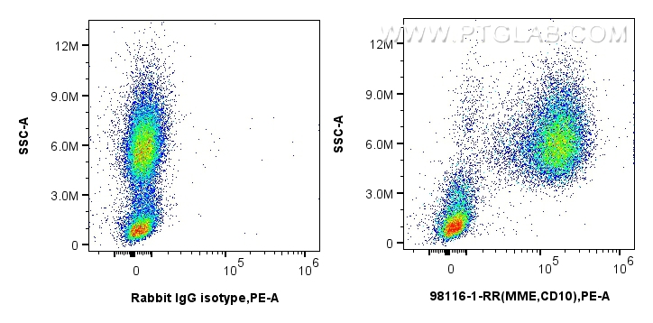 FC experiment of human peripheral blood leukocytes using 98116-1-RR