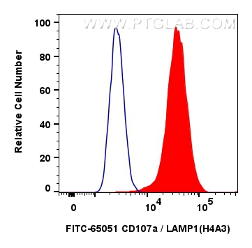 FC experiment of HeLa using FITC-65051