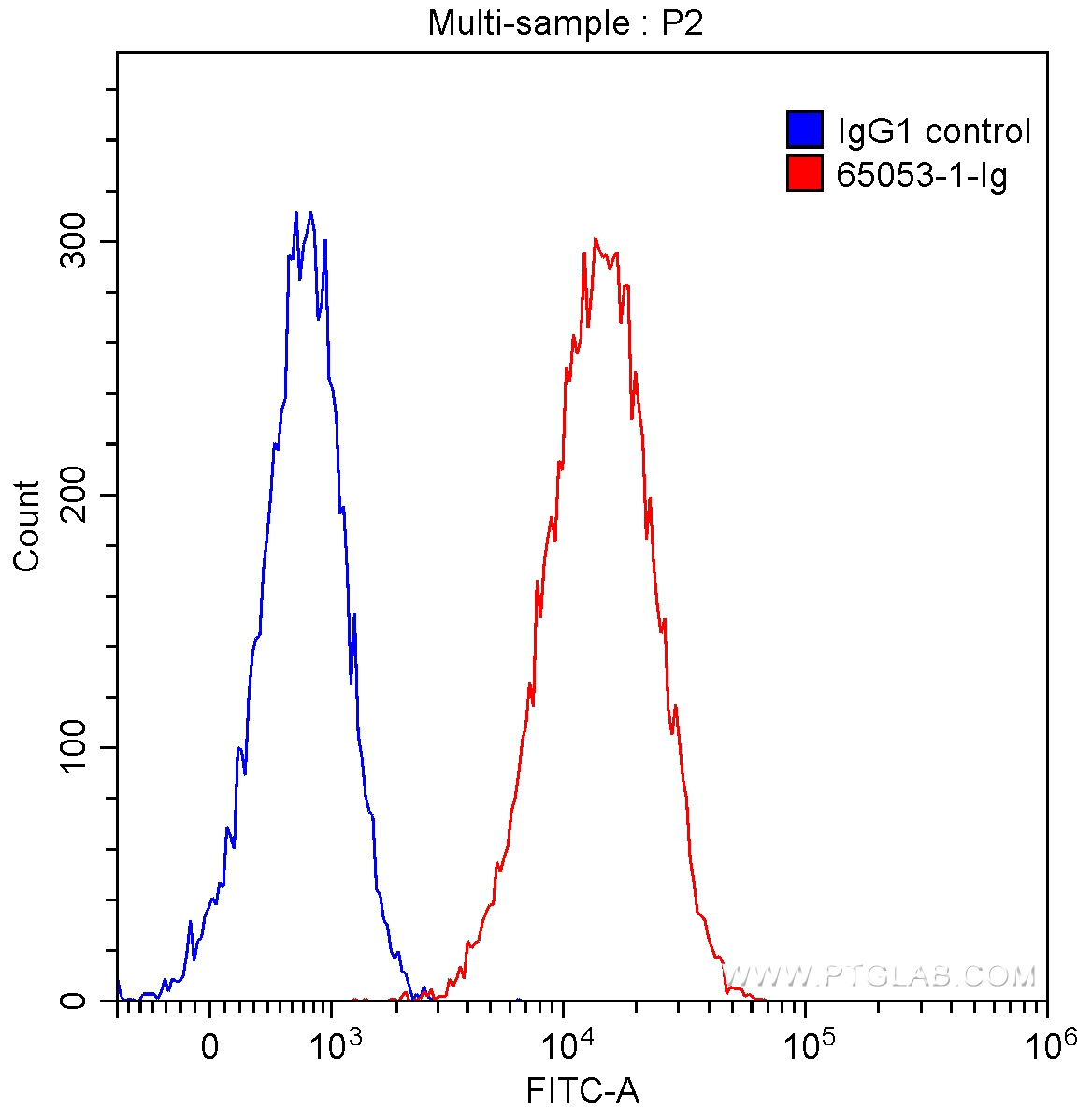 CD107b / LAMP2