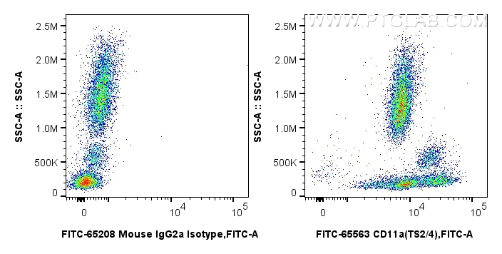 FC experiment of human peripheral blood leukocyte using FITC-65563