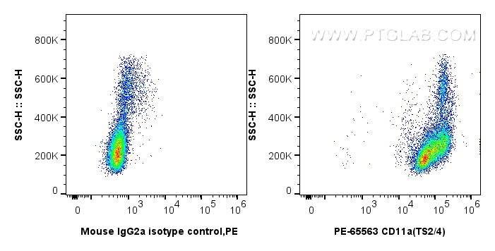 FC experiment of human PBMCs using PE-65563