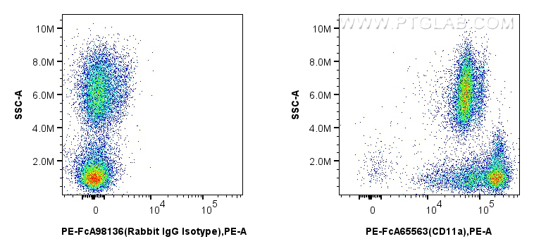 FC experiment of human peripheral blood leukocyte using PE-FcA65563