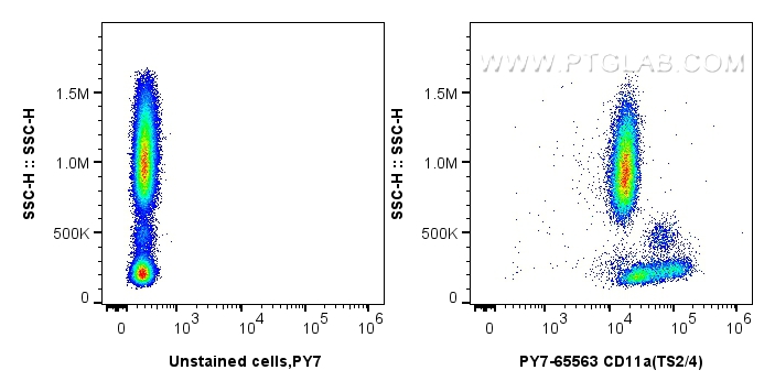 FC experiment of human PBMCs using PY7-65563