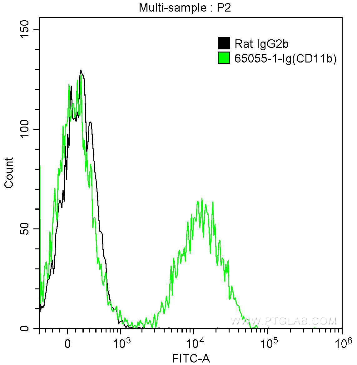 CD11b