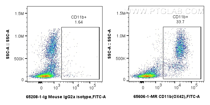 FC experiment of rat bone marrow cells using 65606-1-MR