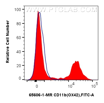 FC experiment of rat bone marrow cells using 65606-1-MR