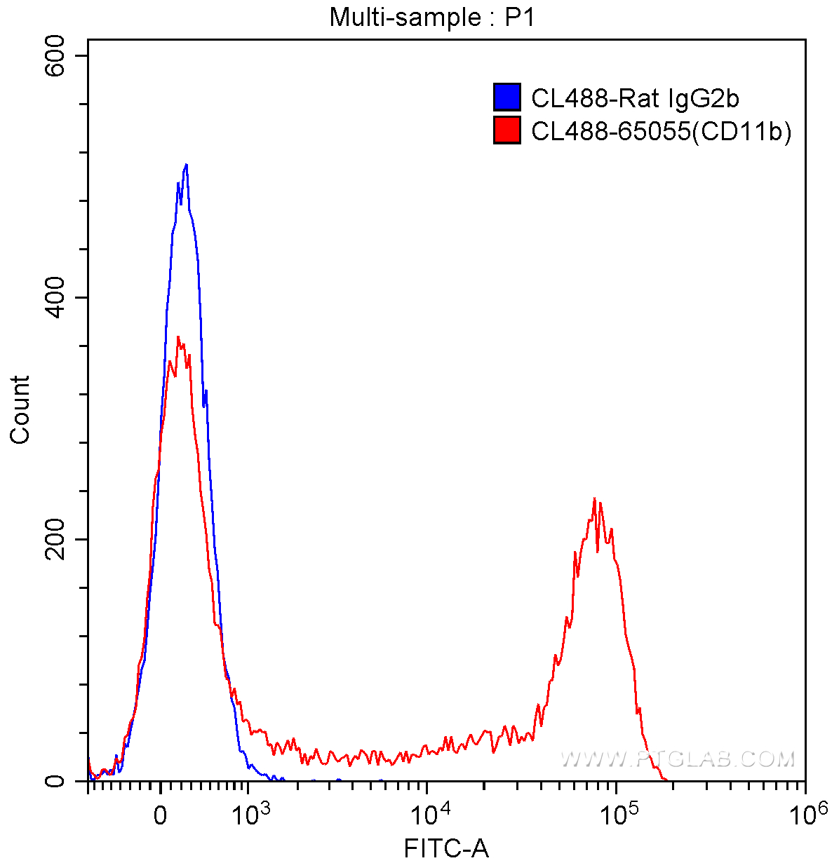 CD11b