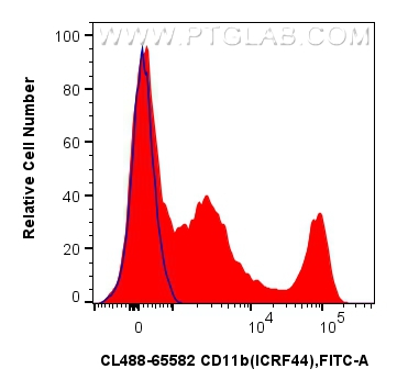 CD11b