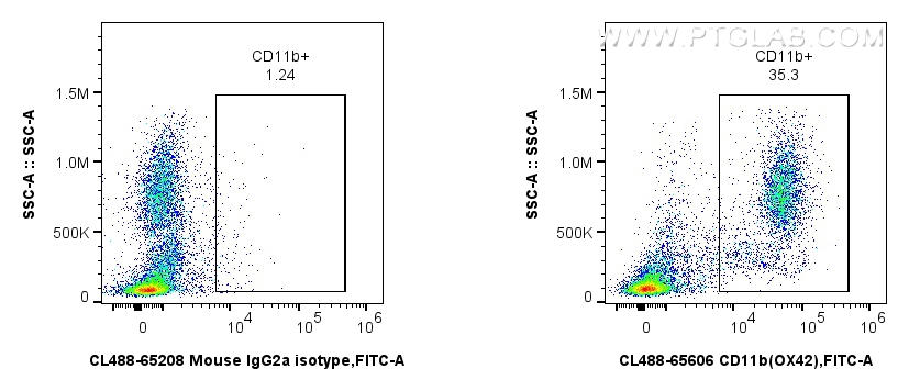 FC experiment of rat bone marrow cells using CL488-65606