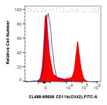 FC experiment of rat bone marrow cells using CL488-65606