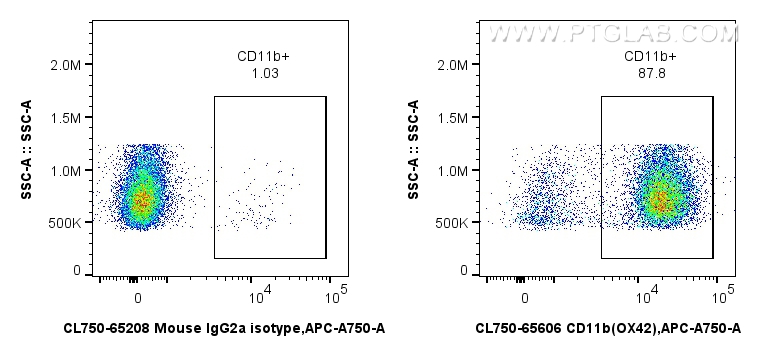 FC experiment of rat bone marrow cells using CL750-65606