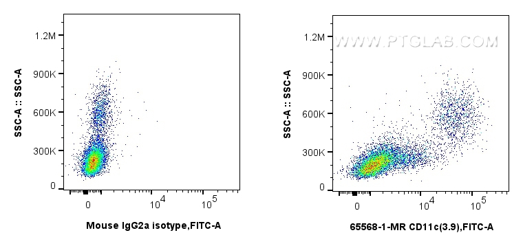 CD11c