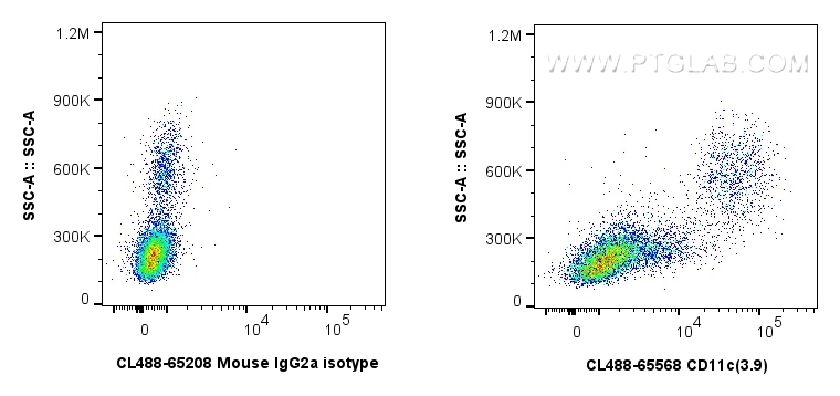 FC experiment of human PBMCs using CL488-65568
