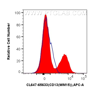 CD13