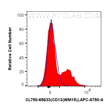 CD13