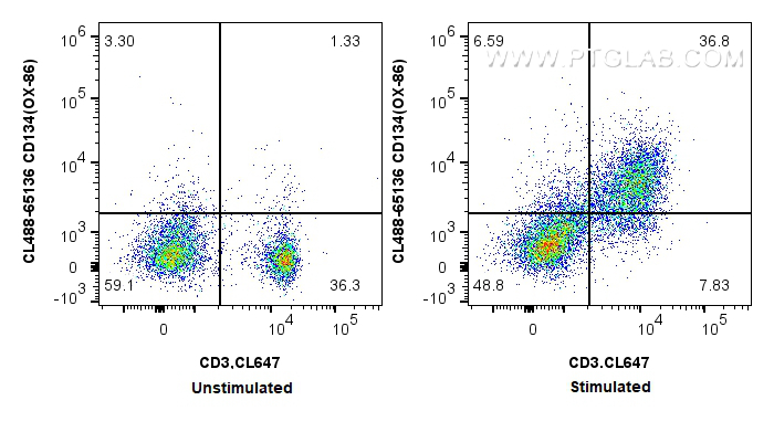 FC experiment of mouse splenocytes using CL488-65136