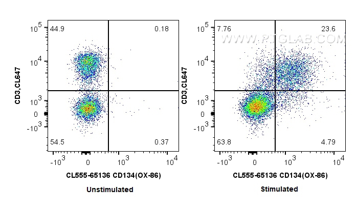 FC experiment of mouse splenocytes using CL555-65136