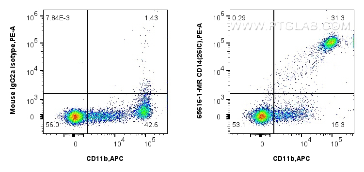 FC experiment of human PBMCs using 65616-1-MR