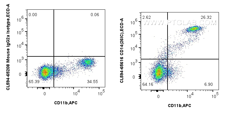 FC experiment of human PBMCs using CL594-65616