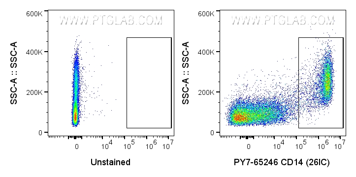 FC experiment of human PBMCs using PY7-65246