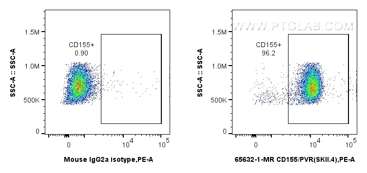 FC experiment of human PBMCs using 65632-1-MR (same clone as 65632-1-PBS)