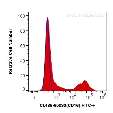 CD16