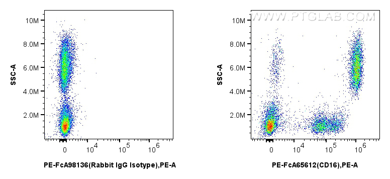 FC experiment of human peripheral blood leukocyte using PE-FcA65612