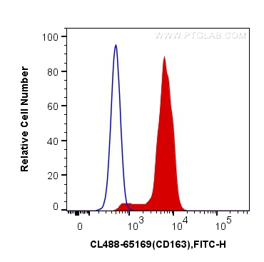 CD163