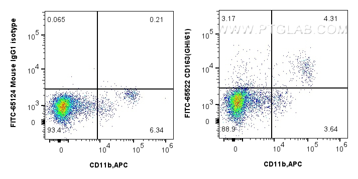 CD163