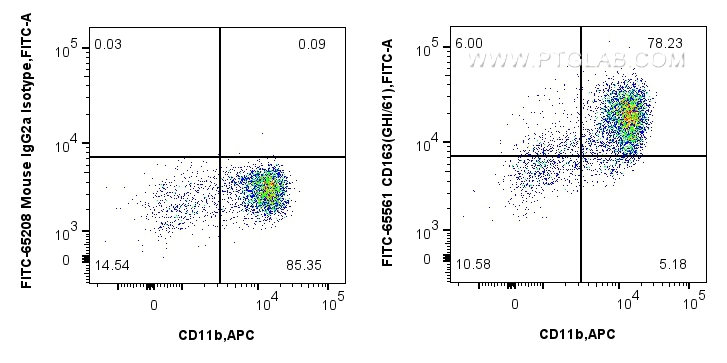 FC experiment of human PBMCs using FITC-65561