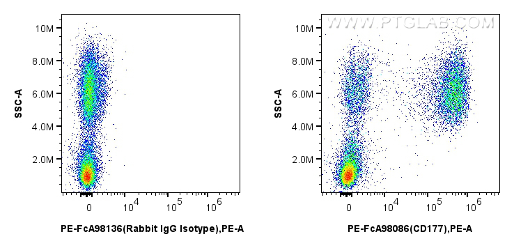 FC experiment of human peripheral blood leukocyte using PE-FcA98086