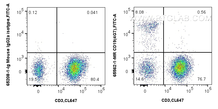 FC experiment of human PBMCs using 65562-1-MR (same clone as 65562-1-PBS)