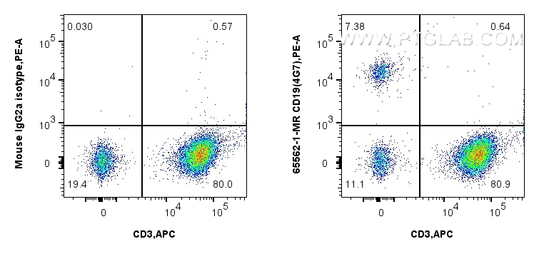 FC experiment of human PBMCs using 65562-1-MR (same clone as 65562-1-PBS)